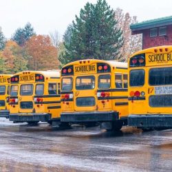 Aws Autumn Row Of School Buses Aligned And Parked