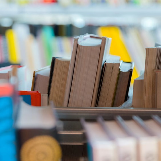 Library Books On Shelf