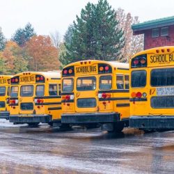 Autumn Row Of School Buses Aligned And Parked