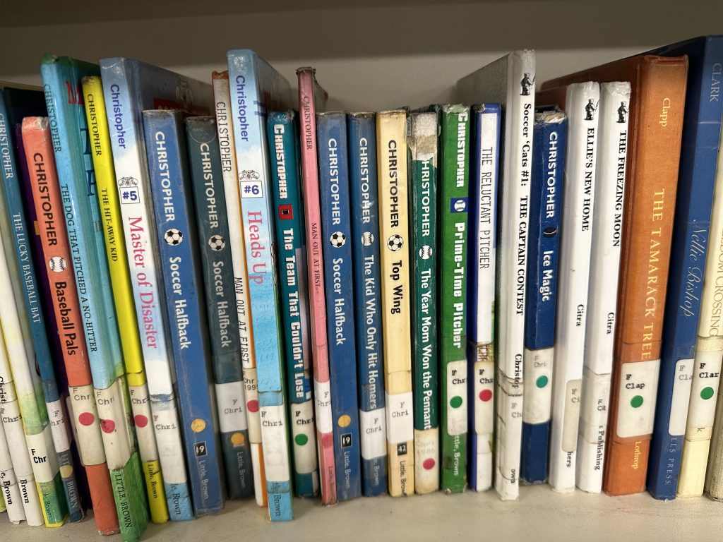 Libraryshelf3